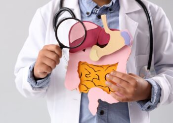 A doctor holds a paper model of digestive organs, including the stomach, intestine, and liver, while wearing a stethoscope around his neck on a gray background.
