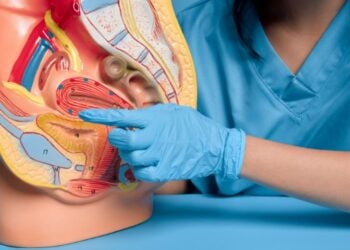 A person wearing blue gloves points to an anatomical model showing the human female reproductive system, with colored details indicating different structures and blood vessels.
